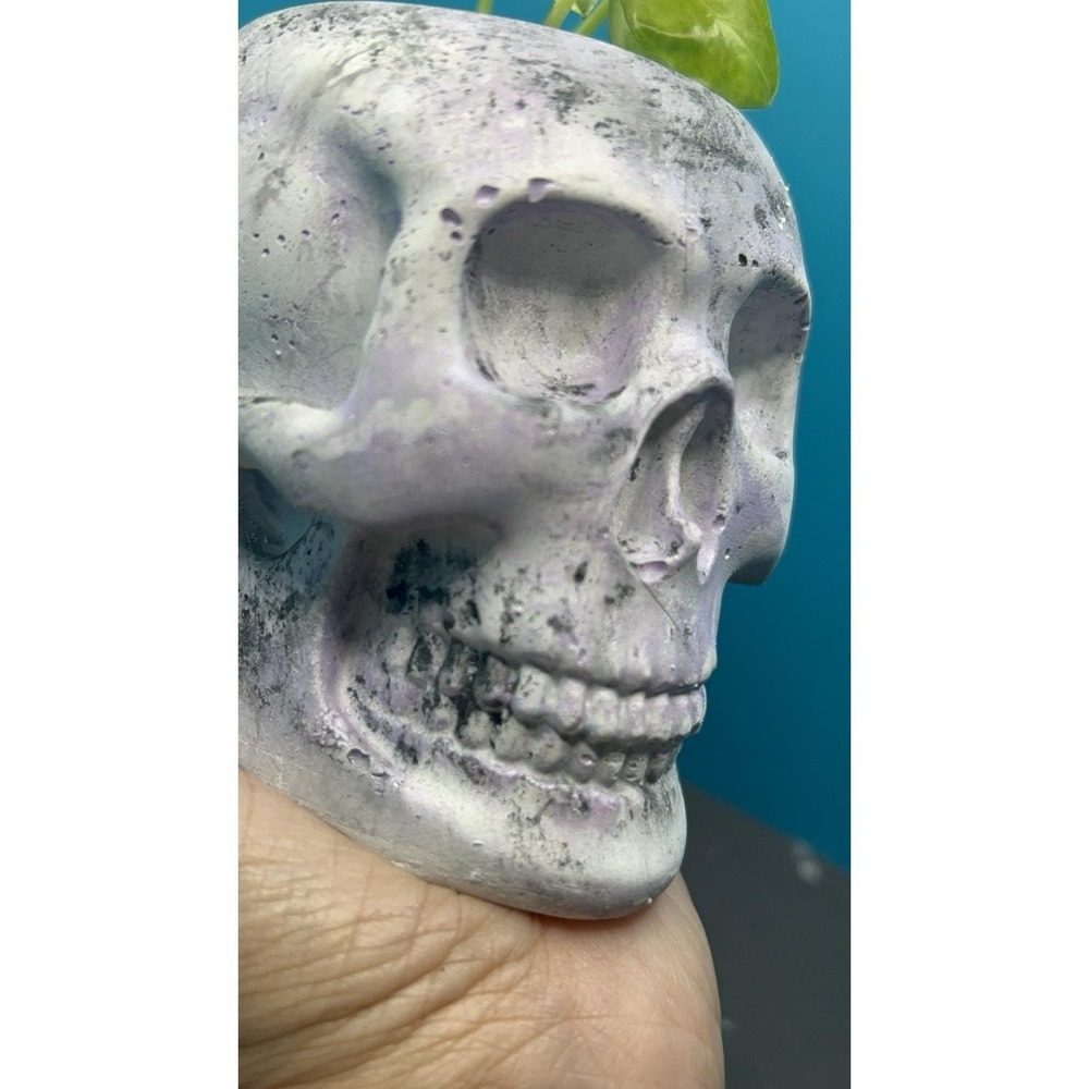 Skull Concrete Planter Lilac – Handmade Cement Succulent Plant Pot, Handmade - Picture 8 of 9